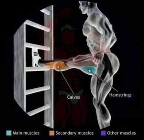 etirement de l'ischiojambier debout en levant la jambe