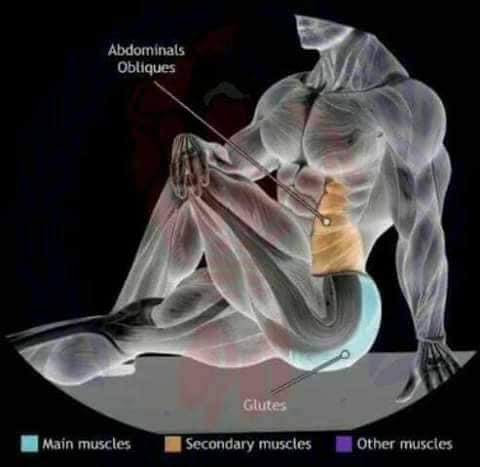 etirement des oblique et fessier position assise