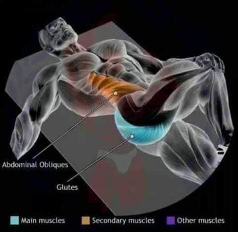 etirements des obliques et du fessier